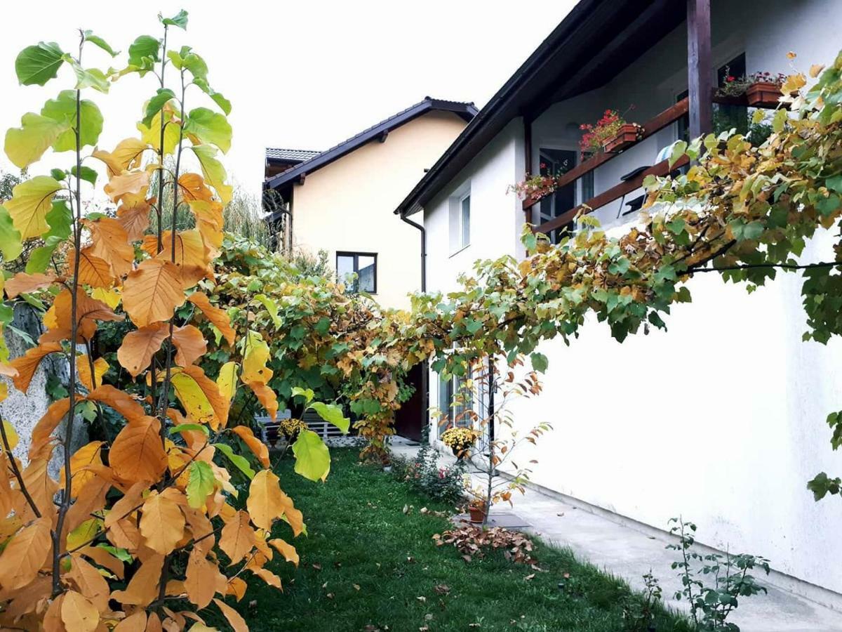 Casa Mais Brasov Exterior photo