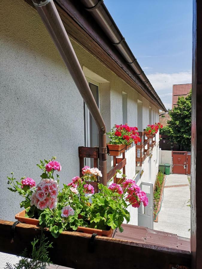 Casa Mais Brasov Exterior photo